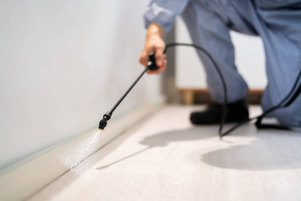 Licensed Exterminator service in Saltillo, MS - Show Me Pest Control
